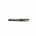 Eagle Taptek Cutting Tools 4-48 HIGH SPEED STEEL SPIRAL POINT PLUG TAP SP-448-P-I